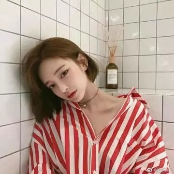 贝壳收藏家