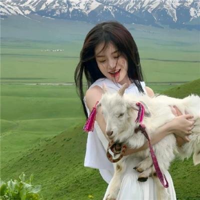 加菲猫家族